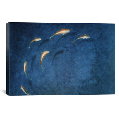 Goldfish Pool // Lincoln Seligman (26"W x 18"H x 0.75"D)