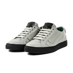 Raptor // Gray (Euro: 39)