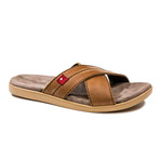 Manabo // Rustic Brown (US: 8)