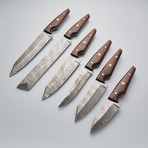 Modern Kitchen Knives // Set of 6