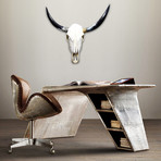 Texas Longhorn Authentic Skull // Wall Mount