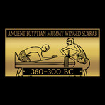 Ancient Egyptian Authentic Blue Faience Winged Scarab // Museum Display