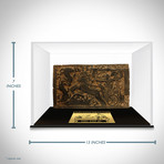 Ancient Egyptian 'Chariot Hunting' Tomb Stone Wall // Museum Display