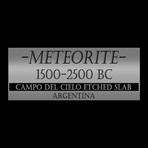 Meteorite Authentic Campo Del Cielo // Museum Display (Meteorite Only)
