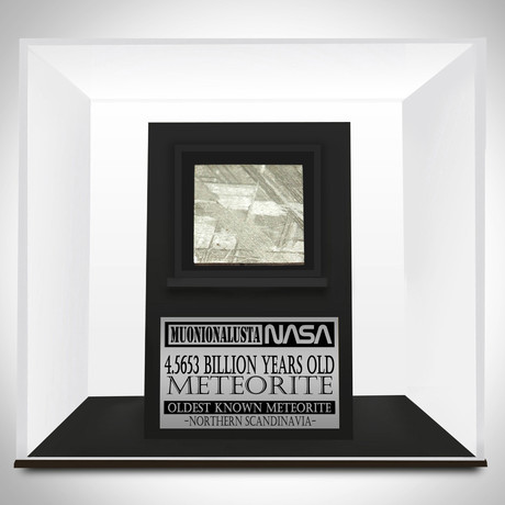 Meteorite Authentic Muonionalusta Slab // Museum Display (Meteorite Only)