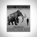 Woolly Mammoth Authentic Hair/Fur // Museum Display (Hair Vial Only)
