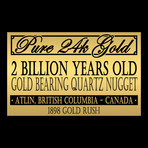 Pure Gold Authentic Quartz Nugget // Museum Display (Nugget Only)