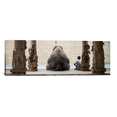 The Elephant & It's Mahot // Ruhan