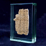 Egyptian Papyrus Book Of The Dead Fragment // 3
