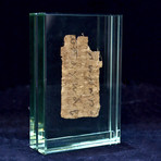 Egyptian Papyrus Book Of The Dead Fragment // 5