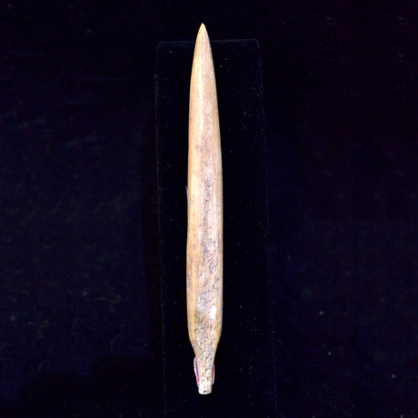 Neolithic Bone Spearhead // 1