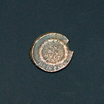 Roman Coin // Caligula // Ca. 37-41 CE