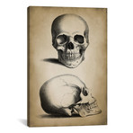 Skull // PatentPrintStore (26"W x 18"H x 0.75"D)