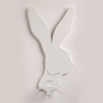 Clothes Hanger // Hare // White