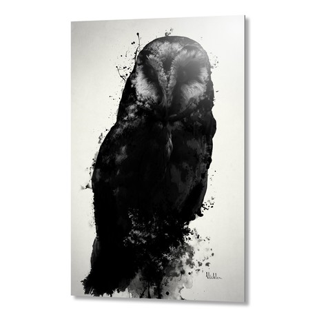 The Owl // Aluminum Print