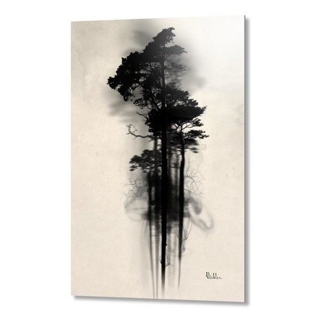 Enchanted Forest // Aluminum Print
