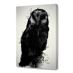 The Owl // Stretched Canvas