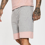 Shorts // Gray + Pink (XL)