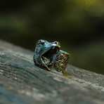 Animal Collection // Bear Ring // Silver (11)