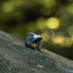 Animal Collection // Bear Ring // Silver (15)