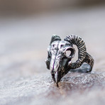 Animal Collection // Ram Skull Ring // Silver (7)