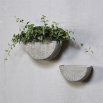Rae Cement Wall Planter // Set of 2 (Large)