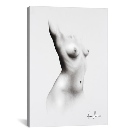 Nude Woman Charcoal Study 64 // Ashvin Harrison (26"W x 18"H x 0.75"D)