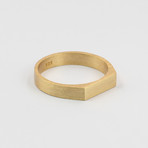 Signet Ring // Gold (Size 5)