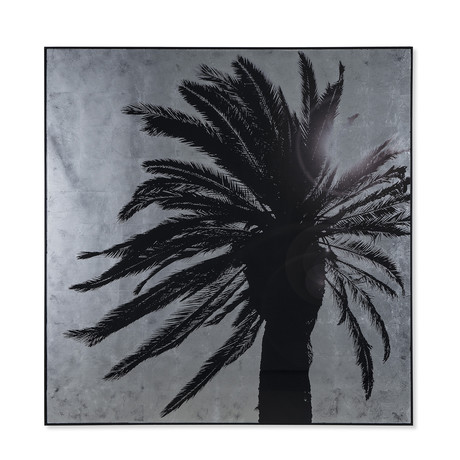 Silver Leaf Palm Tree // B