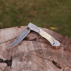 Pocket Folding Lock Back Knife // 2346