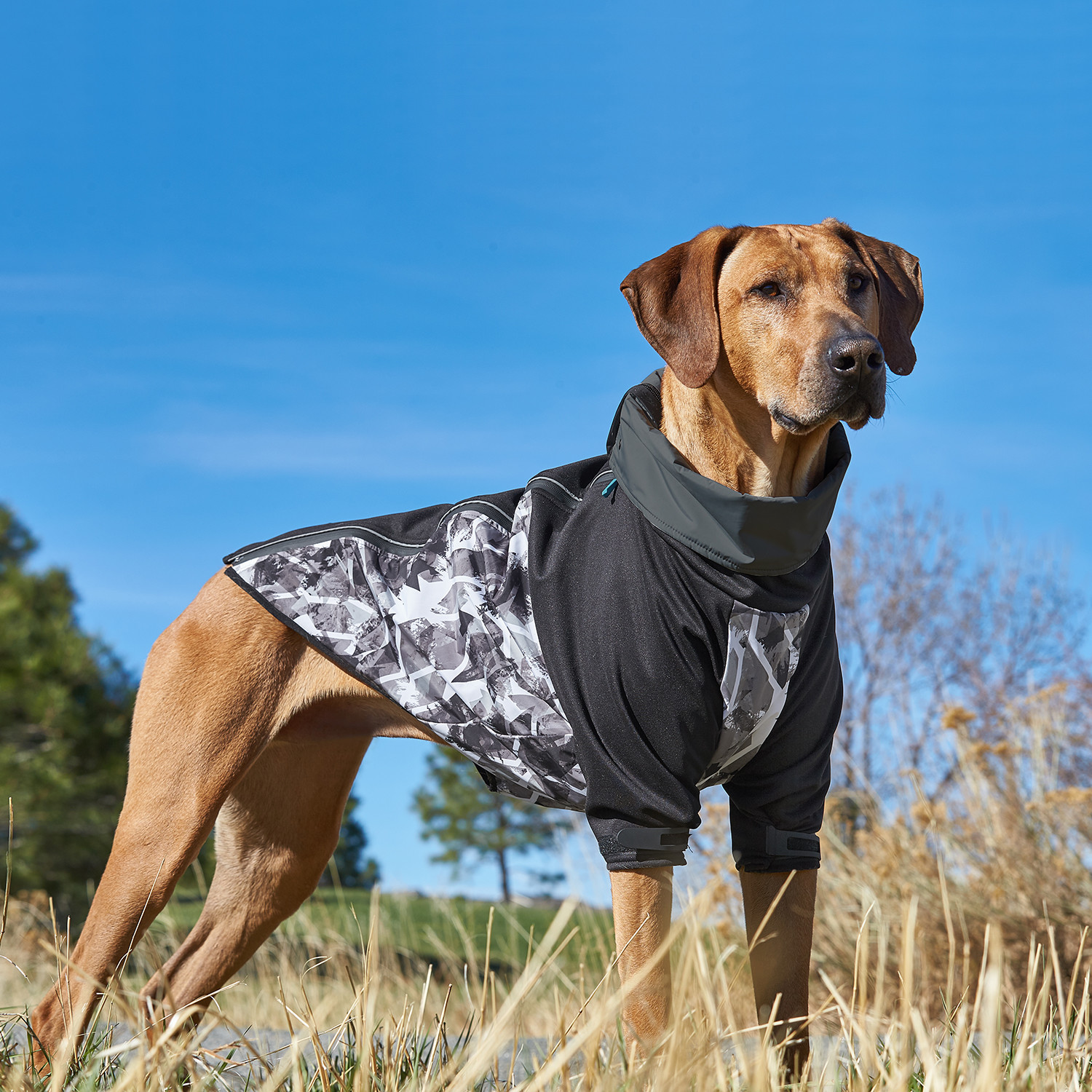 Outward fashion hound coat