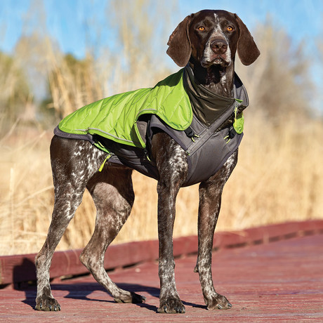 Telluride 2-In-1 Coat // Green (X-Small)