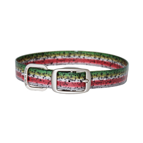 KOA Fish // Rainbow Trout // Set of 2 (Medium)