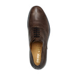 U Besmington Shoes // Chocolate (Euro: 42.5)