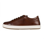 Salvatore Ferragamo // Newport' Leather Sneakers // Brown (US: 6.5W)
