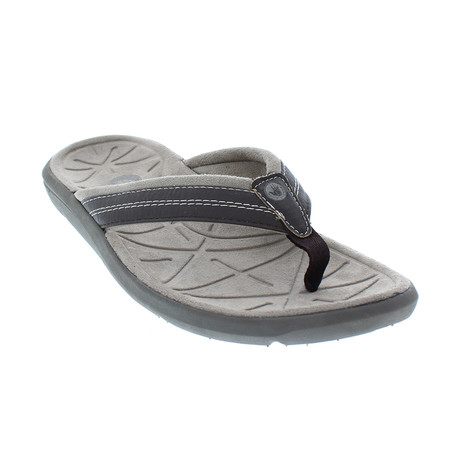 Quest // Major Brown + Brindle (US: 12)