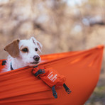 Roo Single + Python 10 (Aloe Green)