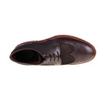 Brogue Shoe // Brown // CS0138 (Euro: 41)