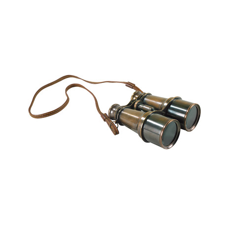 Victorian Binoculars // Bronze