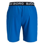 August Shorts // Cobalt (XL)