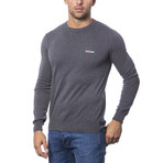 Crewneck Sweater // Dark Gray (M)