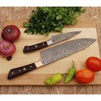 Damascus Chef Knife + Pairing Knife Set // 2 Piece Set