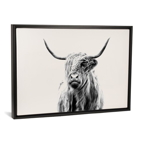 Portrait Of A Highland Cow // Dorit Fuhg (18"W x 26"H x 0.75"D)