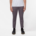 Arroyo Trouser // Gray (30)