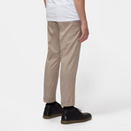 Arroyo Trouser // Clay (28)