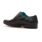 Gavin Derby // Black (Euro: 41)