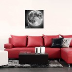 Moonstruck // Jason Brueck (18"W x 18"H x 0.75"D)