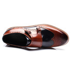 Monk Strap Dress Shoes // Brown + Dark Blue (Euro: 40)