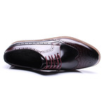 Maximiliano Wingtip Dress Shoes // Bordeaux + Black (Euro: 45)