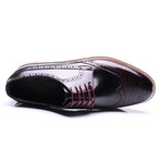 Maximiliano Wingtip Dress Shoes // Bordeaux + Black (Euro: 42)